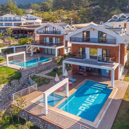 Celebrity E * Фетхие